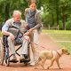 Private Home Care Careers Dublin